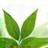 EcoShift Retail logo